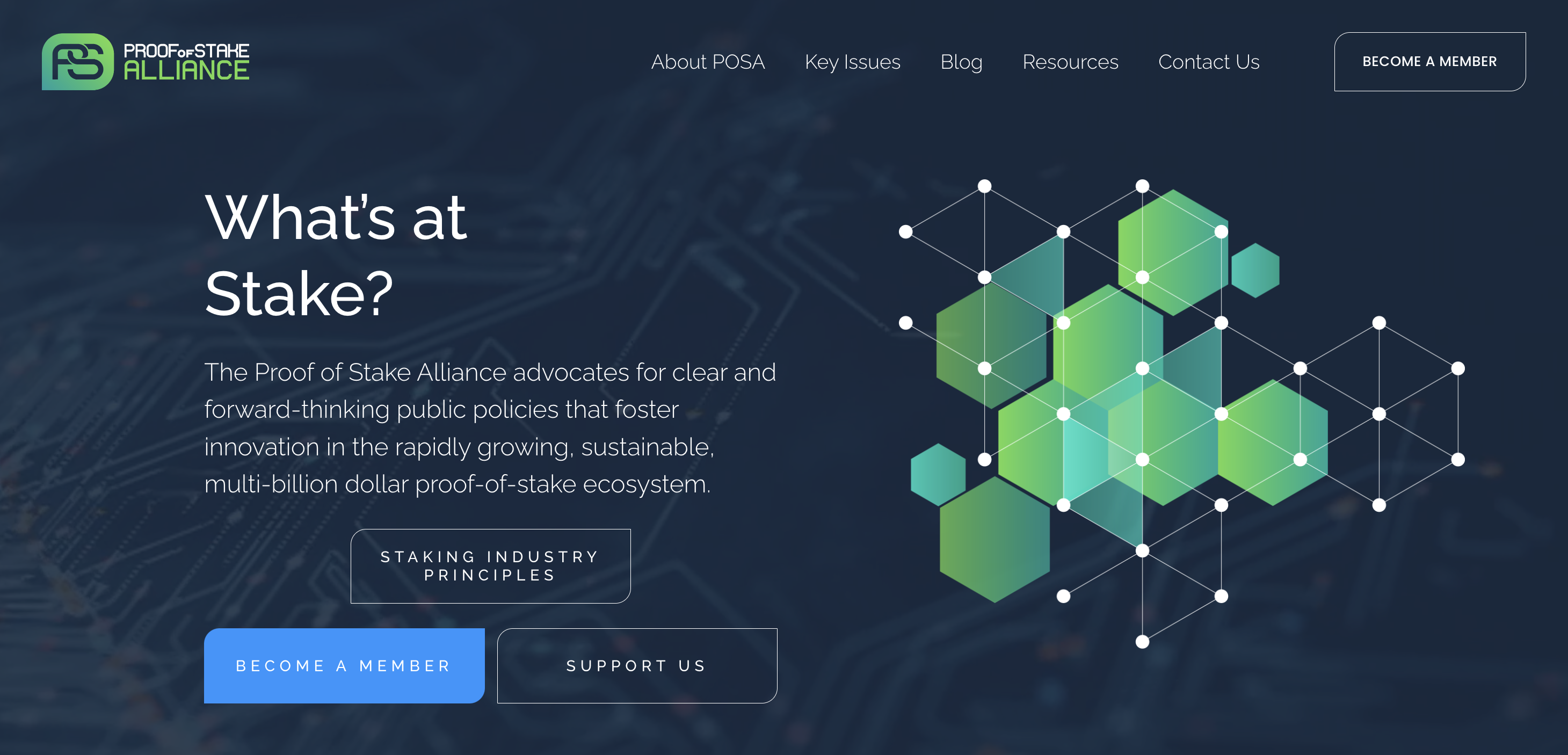 Proof of Stake Alliance