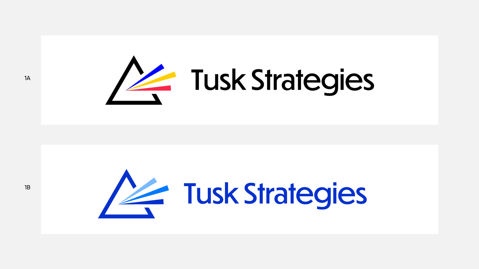Option 1 Concepts