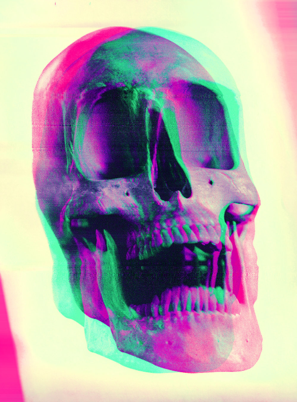 Skull study
